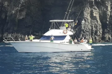 pesca deportiva con barco en Tenerife